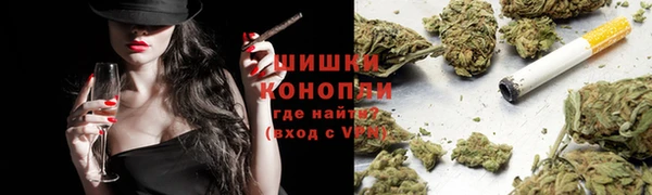 сатива Аркадак