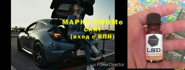 сатива Аркадак