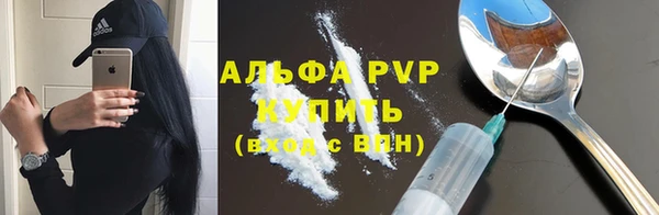 шишки Майский