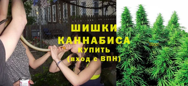 амф Арсеньев