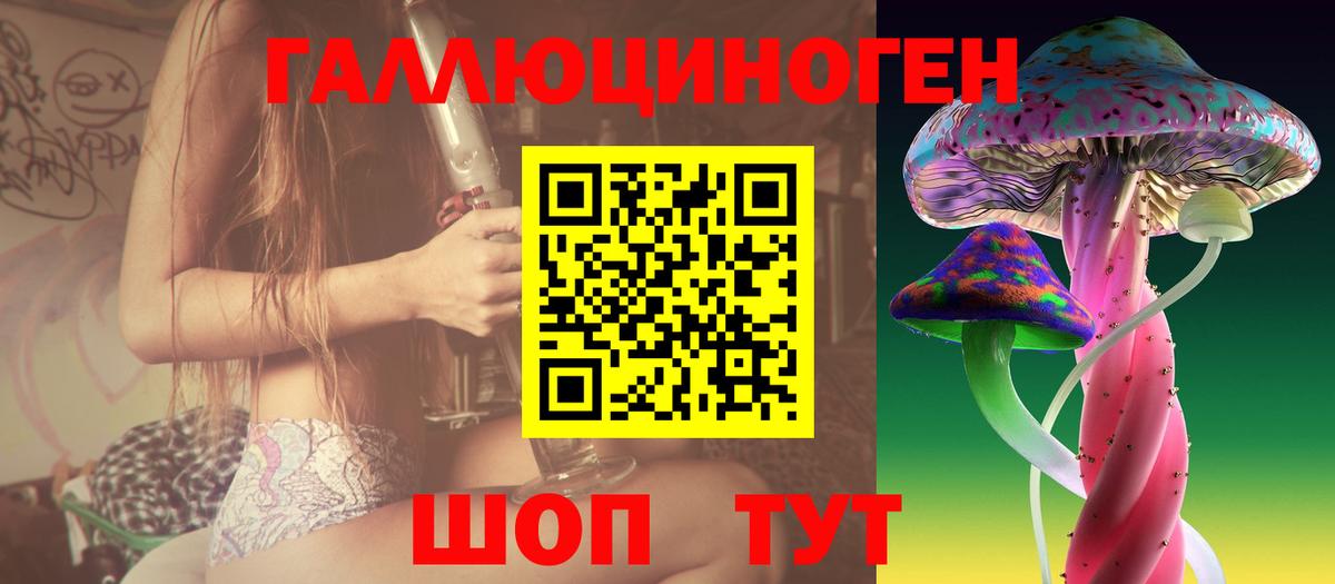 Псилоцибиновые грибы Psilocybe Петропавловск-Камчатский